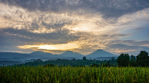 Scenic view of field against sky during sunset