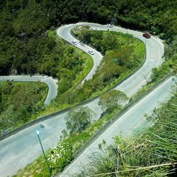 High angle view of winding road amidst trees