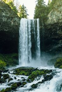 Scenic view of waterfall in forest