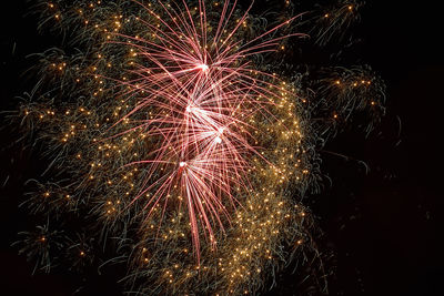 Low angle view of firework display at night