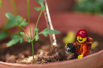 Close-up of small figurine with potted plants
