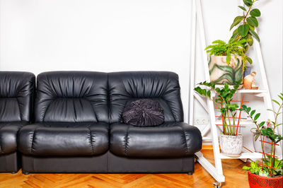 Black leather soft armchairs near a shelf with indoor flowerpots against a white wall. copy space.