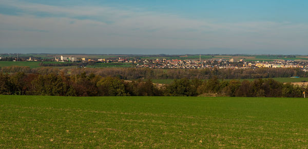 Scenic view of field against sky