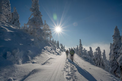 Winter in czech republic