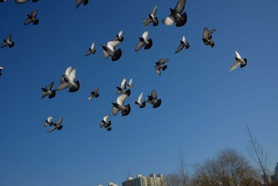 flying