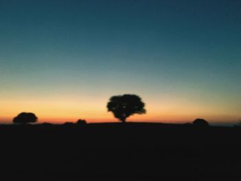 Silhouette trees on landscape at sunset
