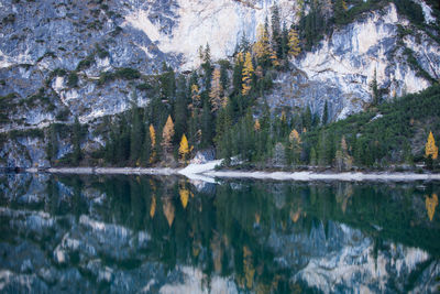 Reflection of trees on water in lake