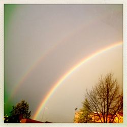 Low angle view of rainbow over trees