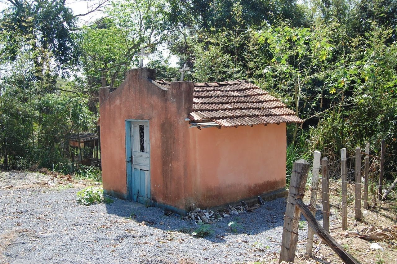 OLD HOUSE ON FIELD BY TREES