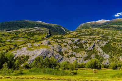 Scenic view of trees on field against blue sky