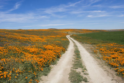 Dirt road amidst field against sky