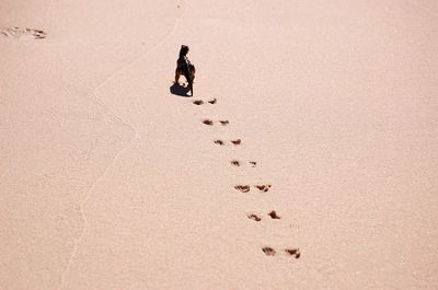High angle view of toy on shore at beach