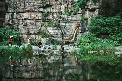 Rocks in pond