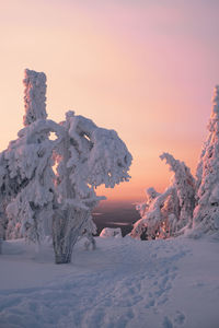 Scenic view of snowcapped mountains against sky during sunset