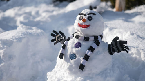 Close-up of snowman in park