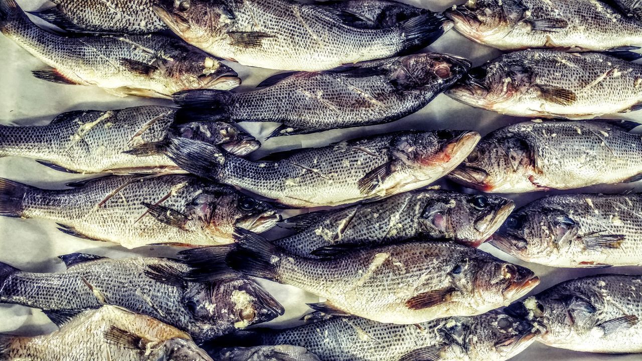 FULL FRAME SHOT OF FISH FOR SALE