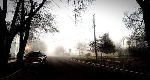 Road passing through trees