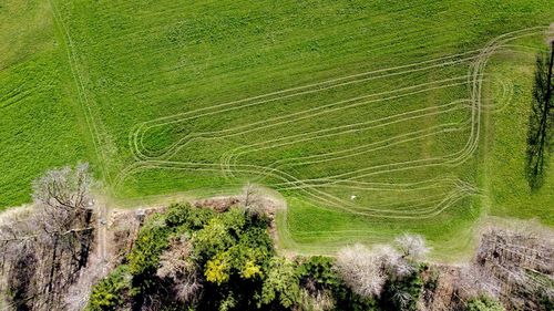 High angle view of trees on field