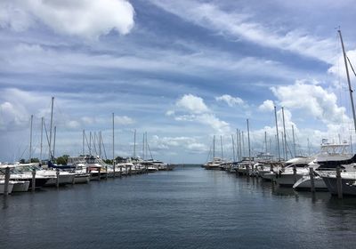 Sailboats moored at harbor