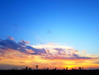Silhouette trees against sky during sunset