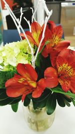 Close-up of flowers in vase