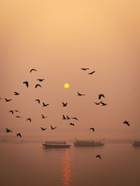 Silhouette birds flying over lake during sunset