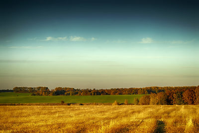 Scenic view of field against sky