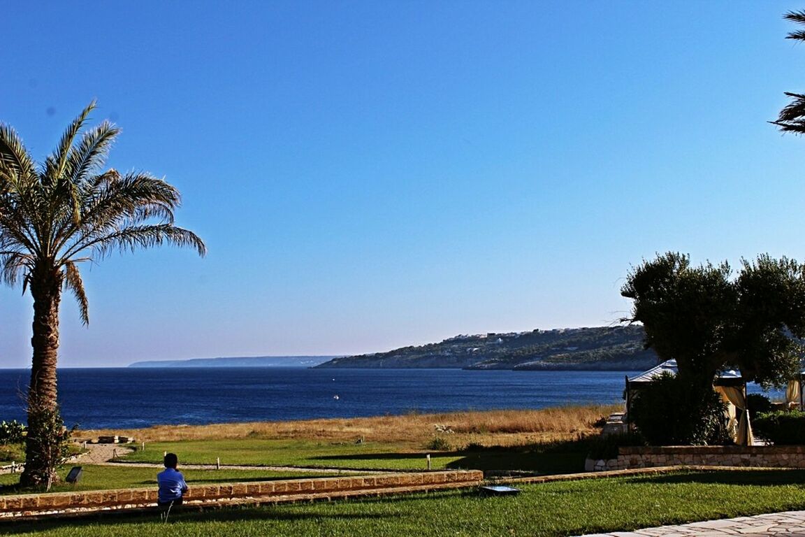 clear sky, blue, leisure activity, lifestyles, tree, water, tranquility, tranquil scene, scenics, beauty in nature, nature, sky, relaxation, grass, shore, vacations, outdoors, idyllic, tourist, day, landscape