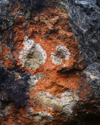 Close-up of stone wall