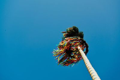 Low angle view of flowering plant against clear blue sky