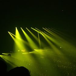 Close-up of illuminated leaf at night