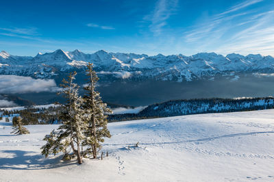 Scenic view of snow covered mountains against sky