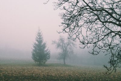 Scenic view of field in foggy weather