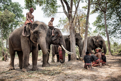 Group of people in forest