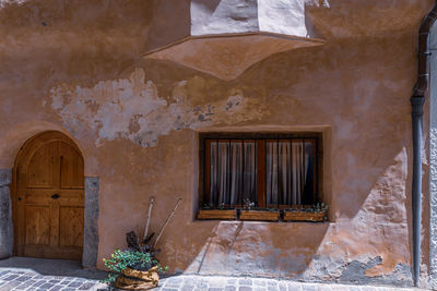 Potted plant outside house
