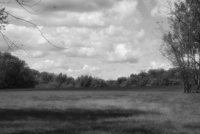 Trees on field against sky