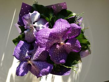 Close-up of purple flowers