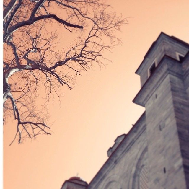 building exterior, architecture, built structure, low angle view, bare tree, branch, clear sky, tree, sky, sunset, silhouette, auto post production filter, building, house, outdoors, residential structure, no people, church, tower, high section