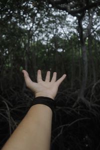 Midsection of woman hand against trees in forest