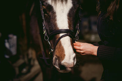 Close-up of man hand