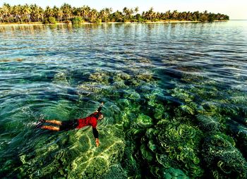 High angle view of person swimming in sea