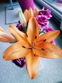 Close-up of frangipani blooming indoors