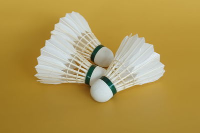High angle view of shells on table