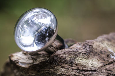 Close-up of crystal ball on rock