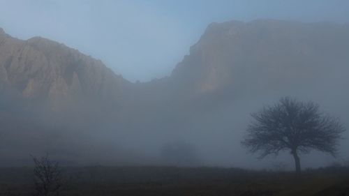 Scenic view of landscape against sky