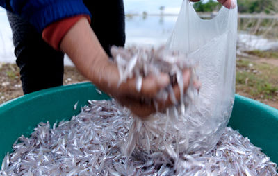 Cropped image of fisherman hand pouring spratts in plastic bag from container