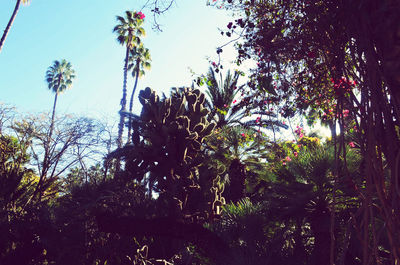 Low angle view of silhouette trees against sky