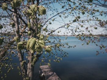 View of water against sky