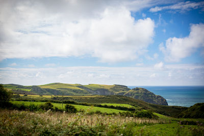 Scenic view of landscape by sea against sky