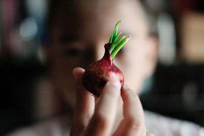 Close-up of boy holding onion at home